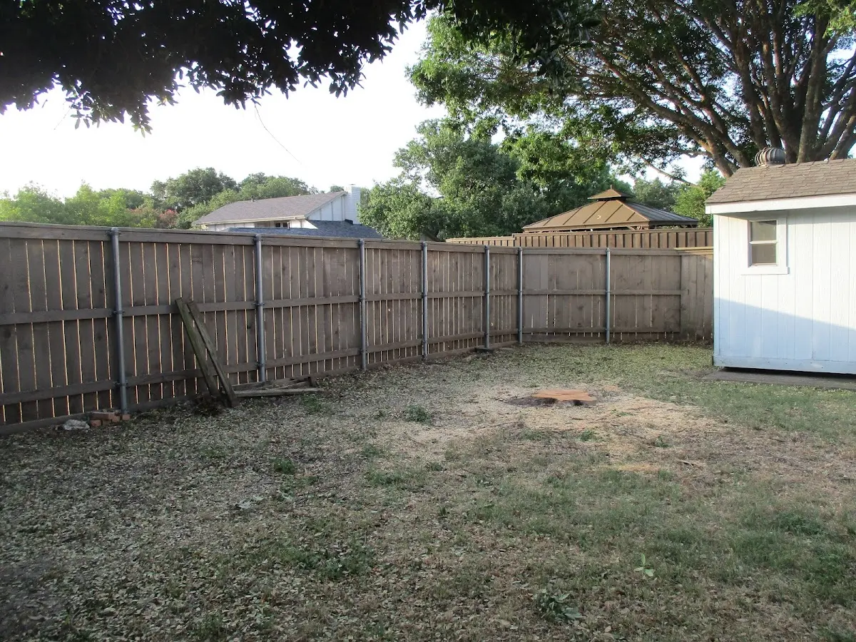 Cleared yard after professional tree removal in South Acworth